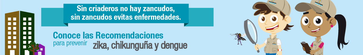 Virus dengue, chikungunya y zika